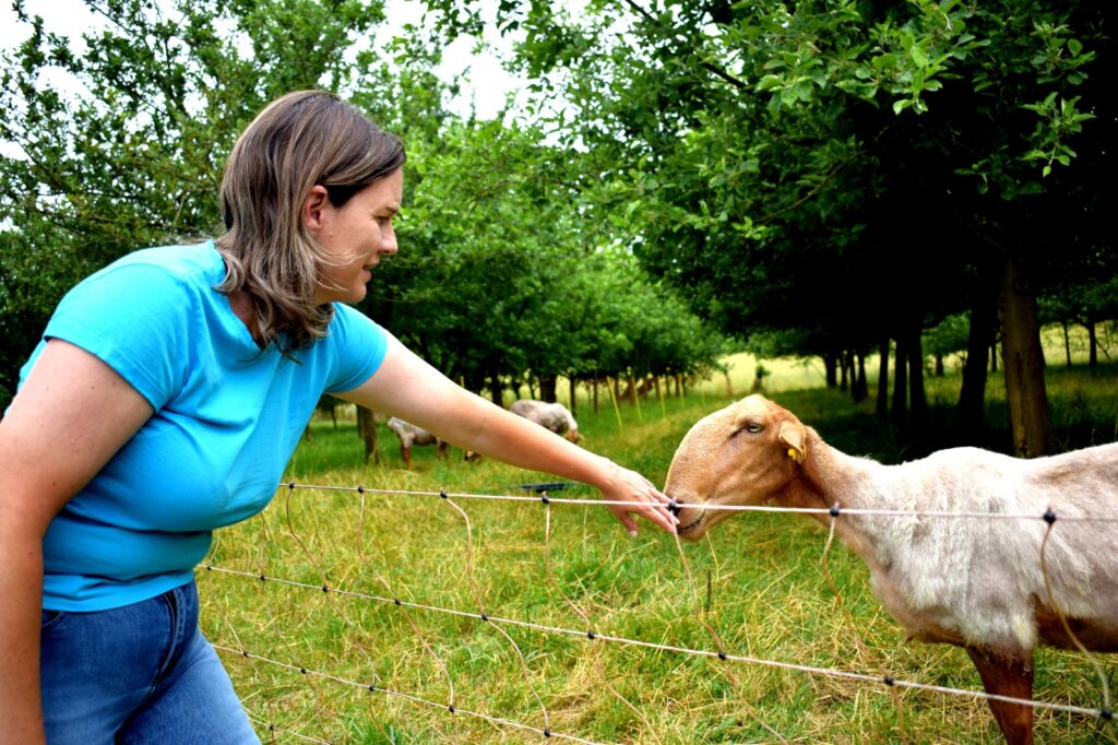 Sidra y nueva ruralidá