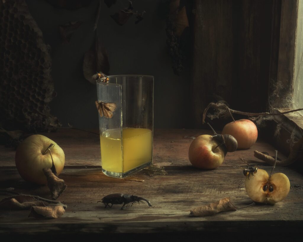Sidra y cubizmo, accésit del XVI Concursu Internacional de Semeyes LA SIDRA